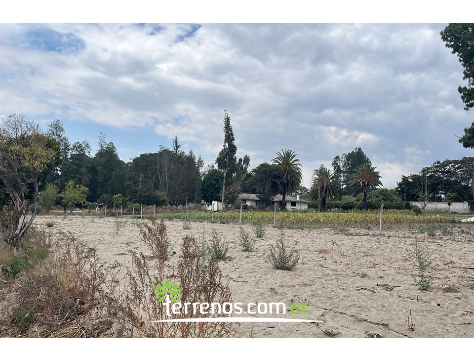 Vista adicional de terreno en venta en Guayllabamba, Quito, Pichincha