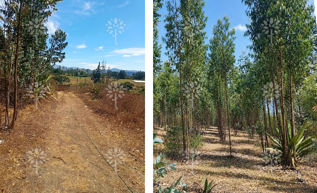Vista adicional de terreno en venta en Yaruqui, Quito, Pichincha