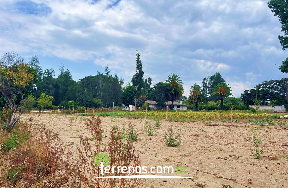 Vista adicional de terreno en venta en Guayllabamba, Quito, Pichincha
