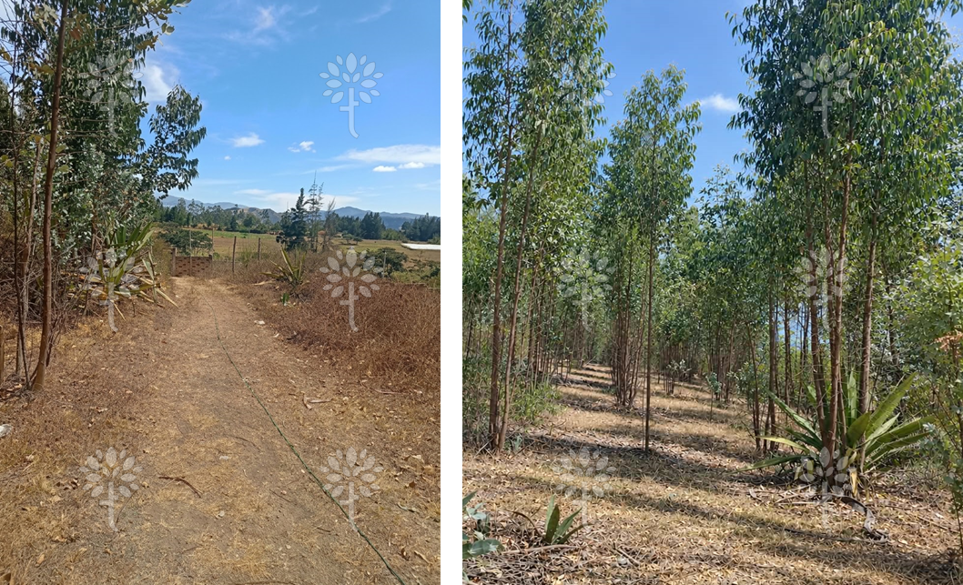 Vista adicional de terreno en venta en Yaruqui, Quito, Pichincha