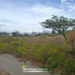 Vista adicional de terreno en venta en Malchingui, Pedro Moncayo, Pichincha