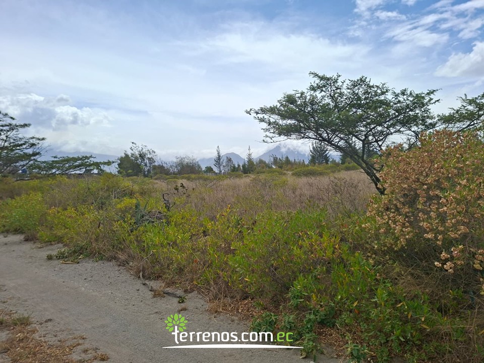 Vista adicional de terreno en venta en Malchingui, Pedro Moncayo, Pichincha