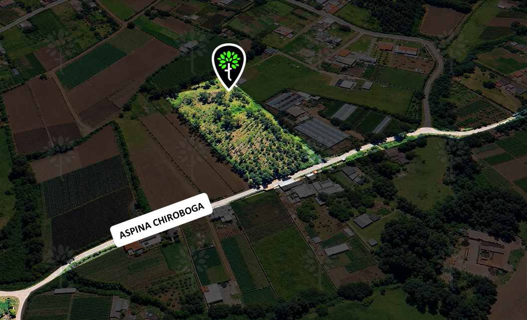 Vista adicional de terreno en venta en Yaruqui, Quito, Pichincha