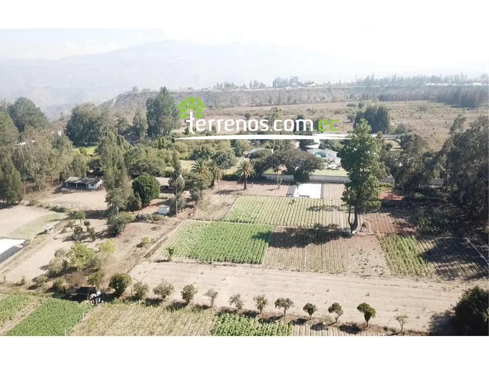 Vista adicional de terreno en venta en Guayllabamba, Quito, Pichincha