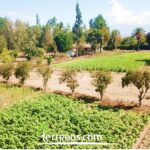 Vista adicional de terreno en venta en Guayllabamba, Quito, Pichincha