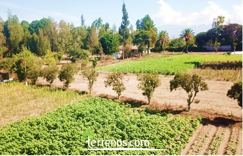 Vista adicional de terreno en venta en Guayllabamba, Quito, Pichincha